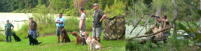 Marsh mutt manor labs top