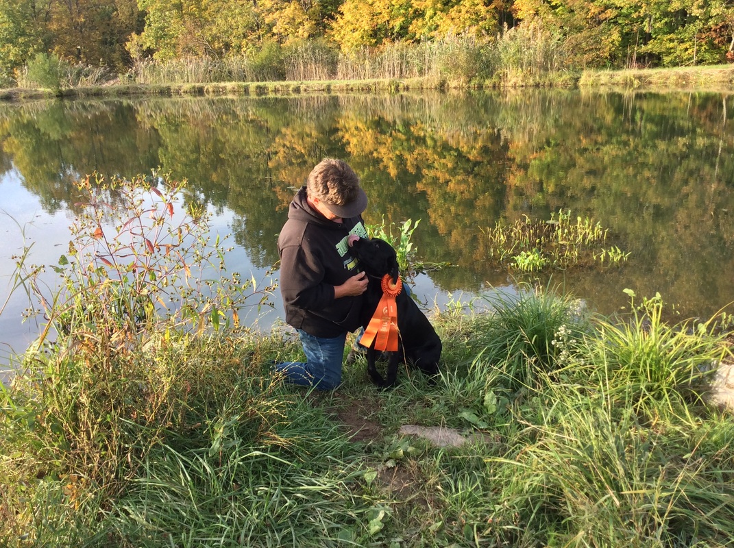 Marsh mutt labs top