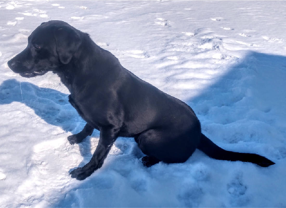 Pete full body in snow