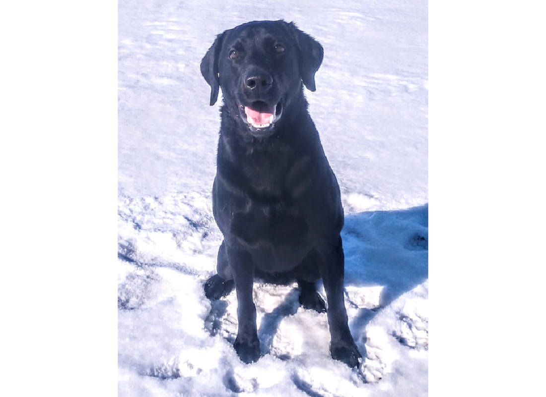 Pete in snow mouth open