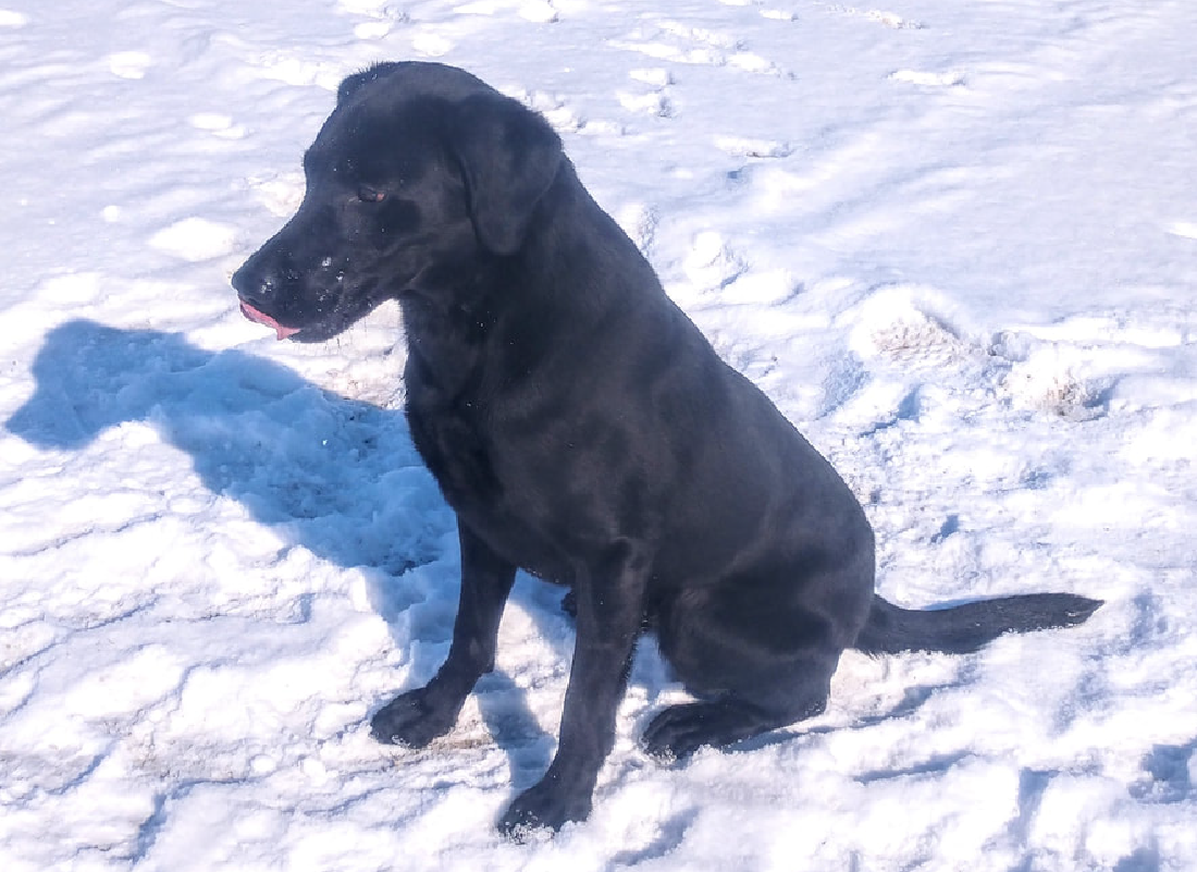 Pete sitting in snow facing away