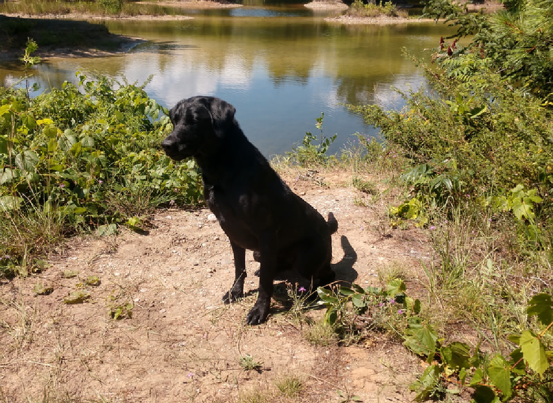 Pete sitting by pond